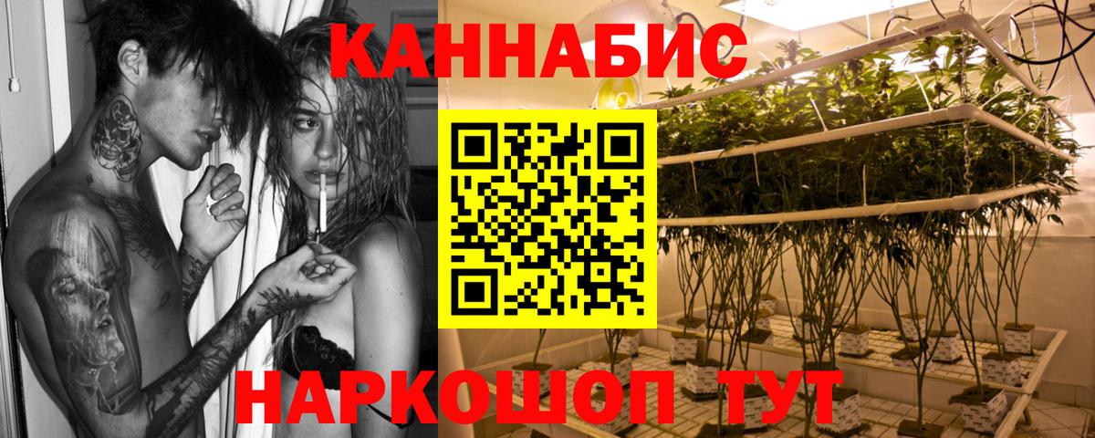 Каннабис планчик Ухта